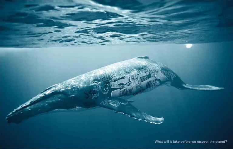 A humpback whale swimming underwater with graffiti covering its body, symbolizing ocean pollution and environmental destruction — text below: "What will it take before we respect the planet?"